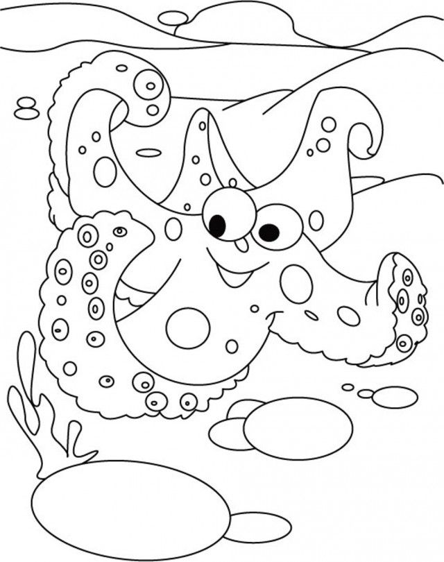 Download Starfish| Coloring Pages for Kids Or Print Starfish