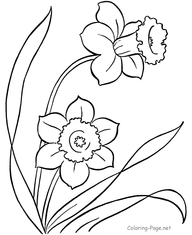 Spring coloring page - Flowers | Teaching: Spring