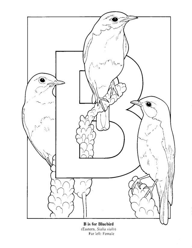 abc letter b big bird Colouring Pages