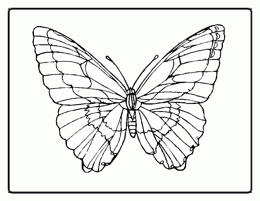 Kids Coloring Flower And Butterfly Coloring Pages Flower
