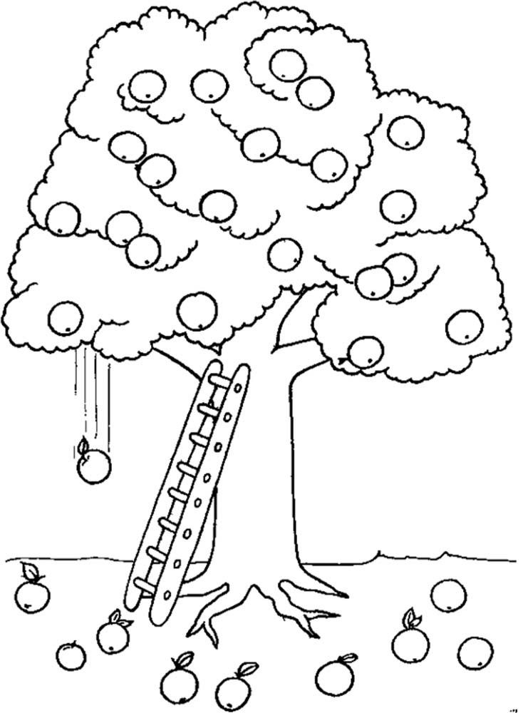 The Thick Apple Tree Coloring For Kids - Tree Coloring Pages