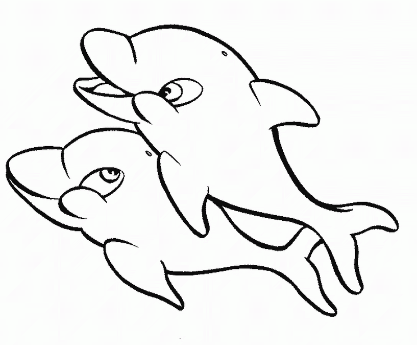 dolphin coloring sheet