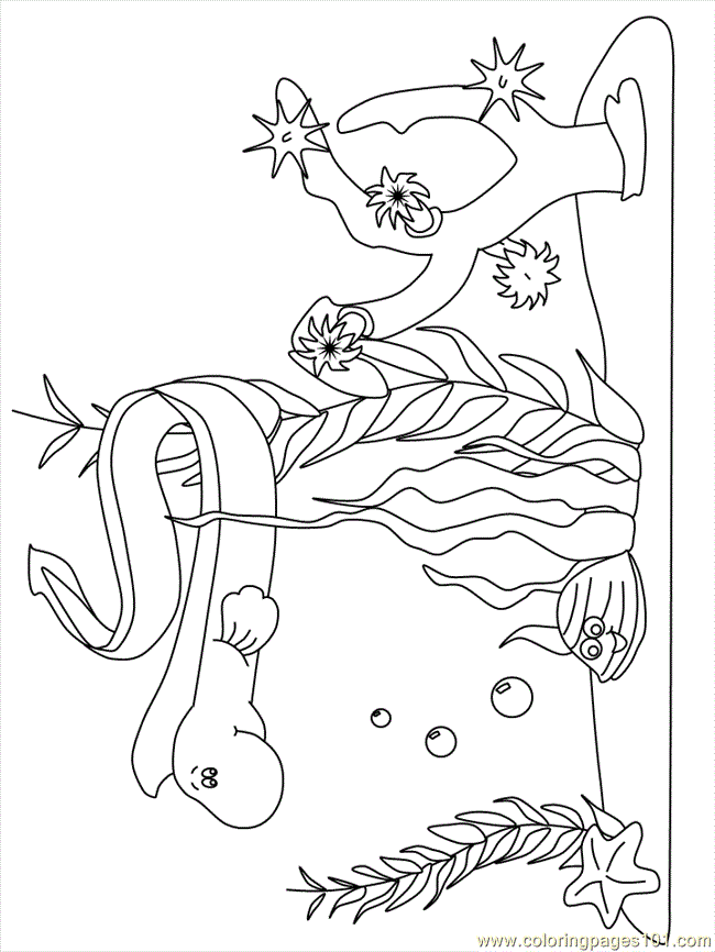 hot wheels coloring pages picture