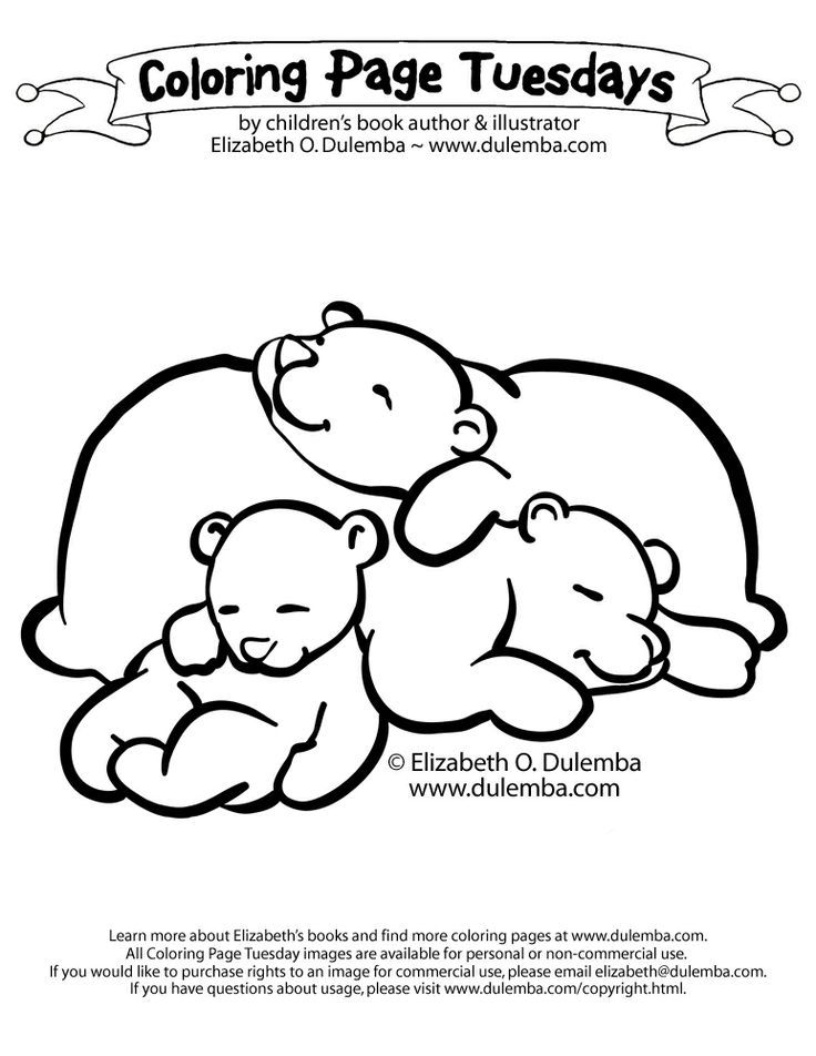 hibernating bear snores on coloring page Clip Art Library