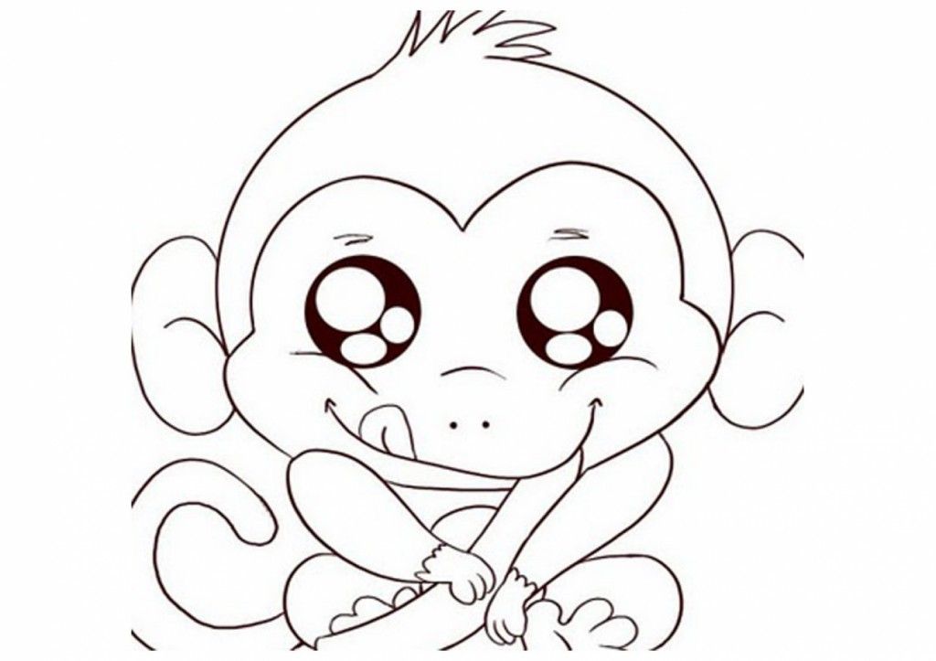 Animal Coloring Monkey | Cute Baby Monkeys Drawings | Catalogopet