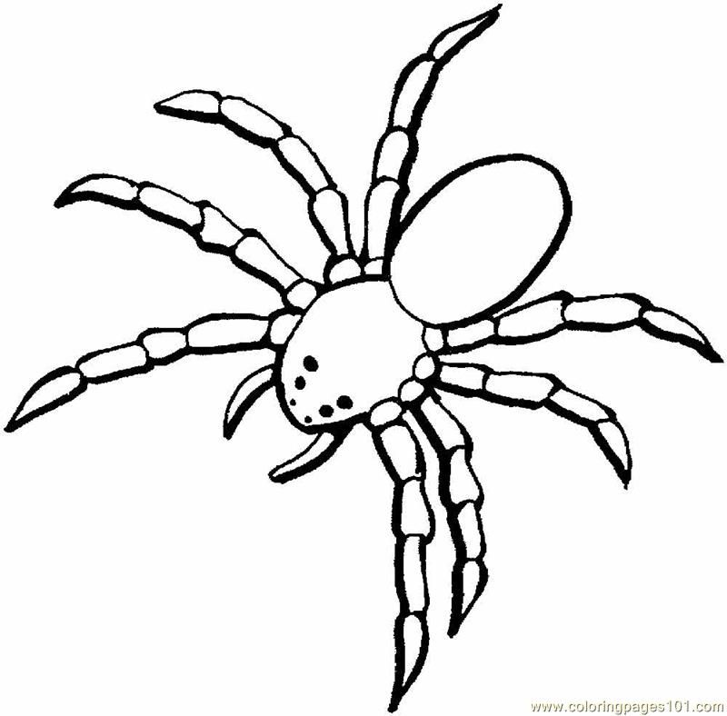 Coloring Pages Arachnids (Animals  Arachnids) | free printable