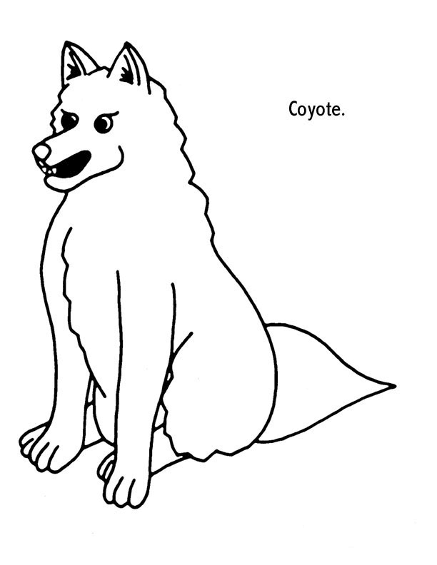 Coyote Coloring Pages Cake Ideas and Designs