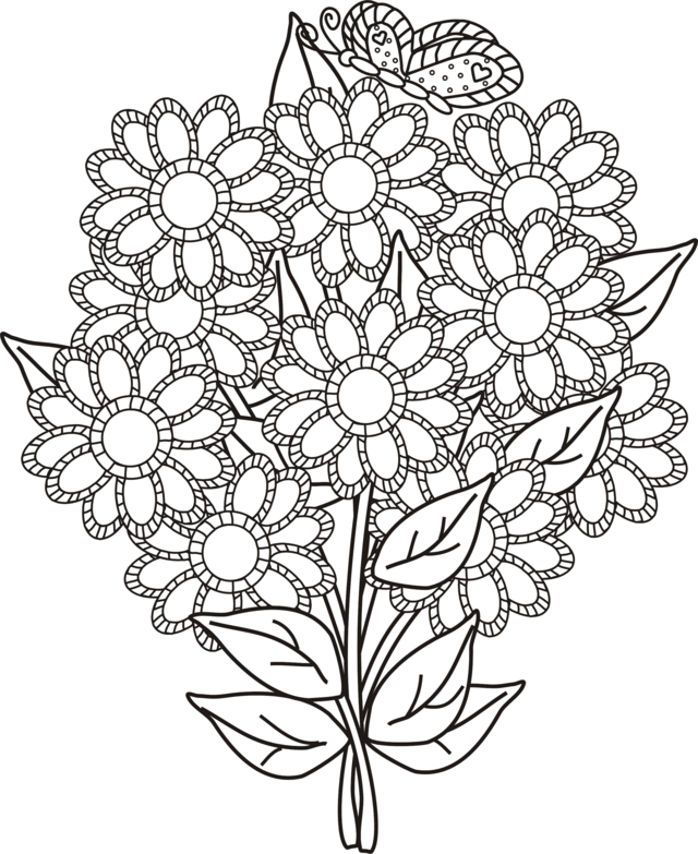 free-coloring-pages-of-butterflies-and-flowers-download-free-coloring