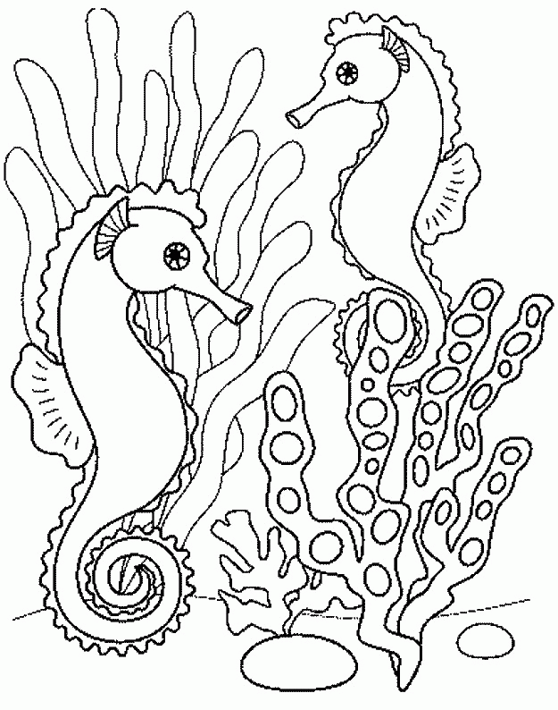 Animals Seahorses | print coloring pages