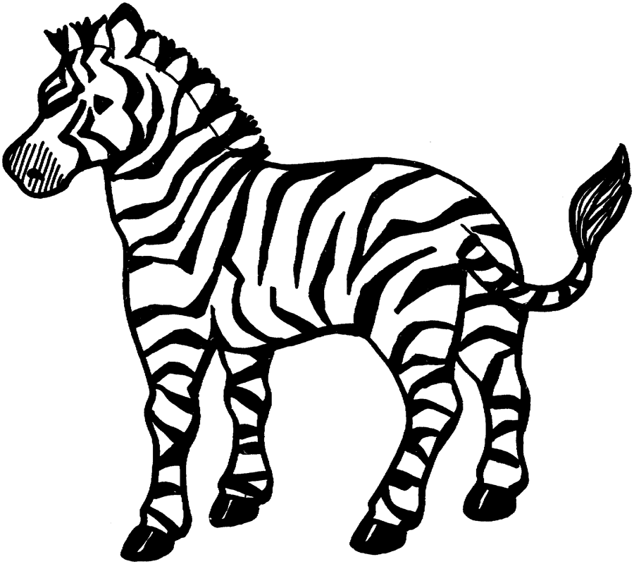 Free Zebra Pictures For Kids Download Free Zebra Pictures For Kids Png 