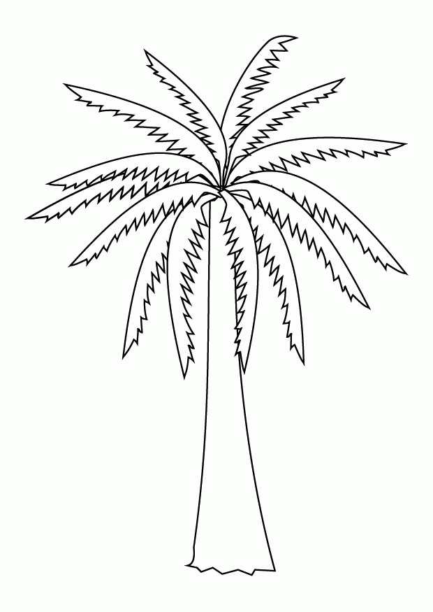 Free Palm Tree Template, Download Free Palm Tree Template png images