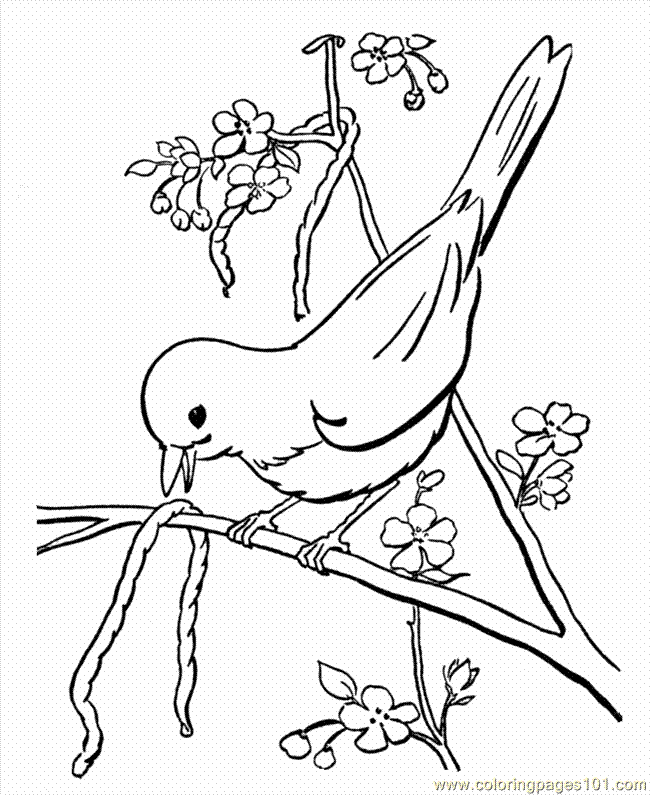 Free Printable Coloring Pages Birds Download Free Printable Coloring