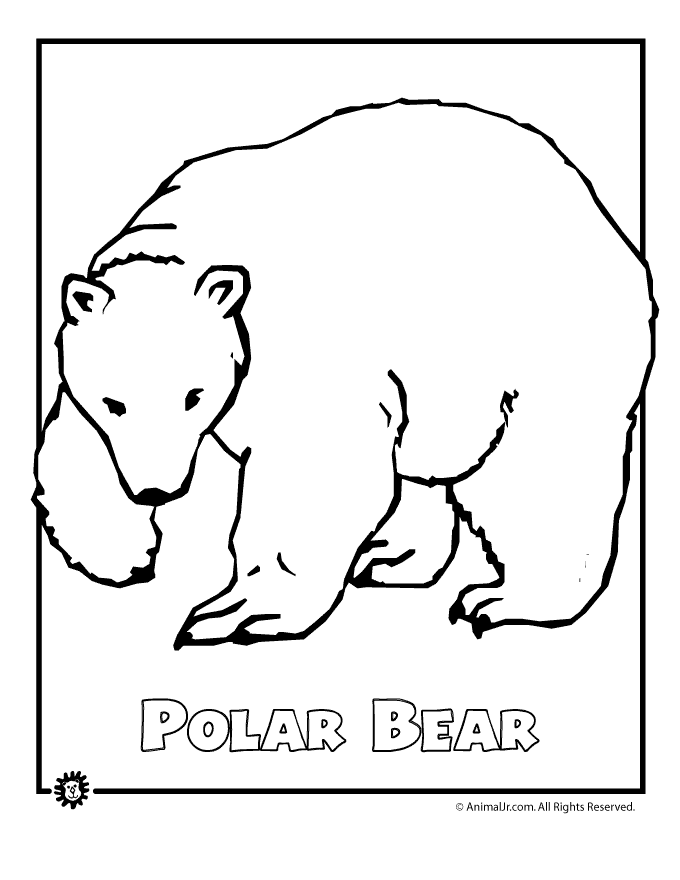 Polar Bear Coloring Pages To Print | Printable Coloring Pages
