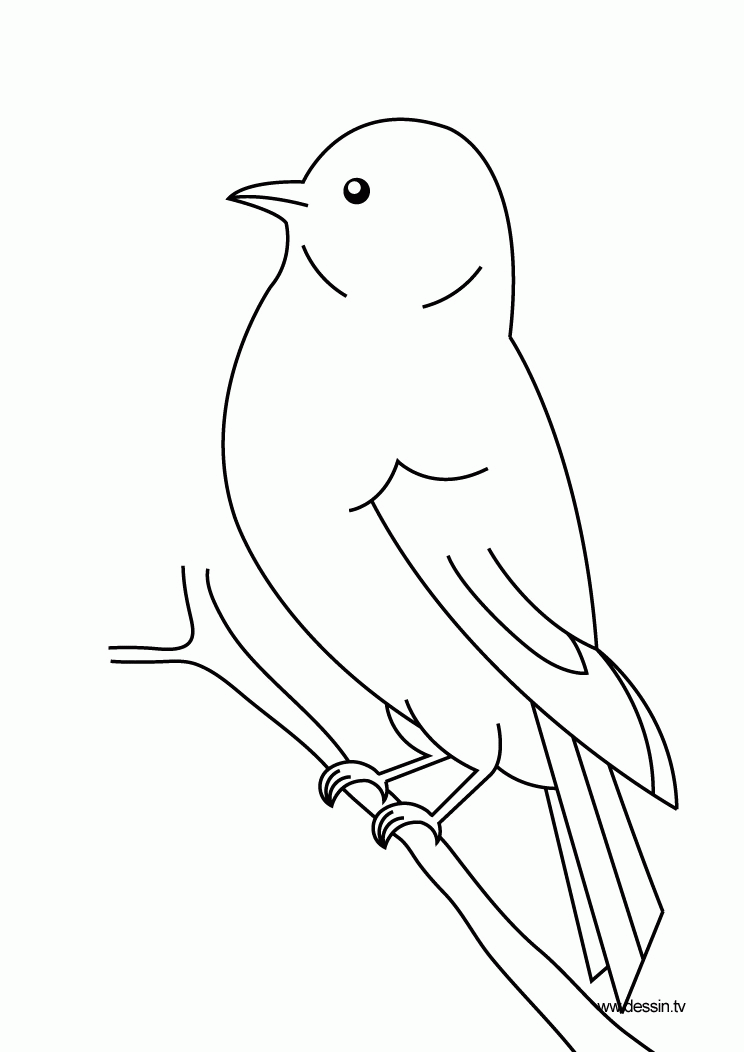 Printable Coloring Pages Of Birds | Disney Coloring Pages | Kids