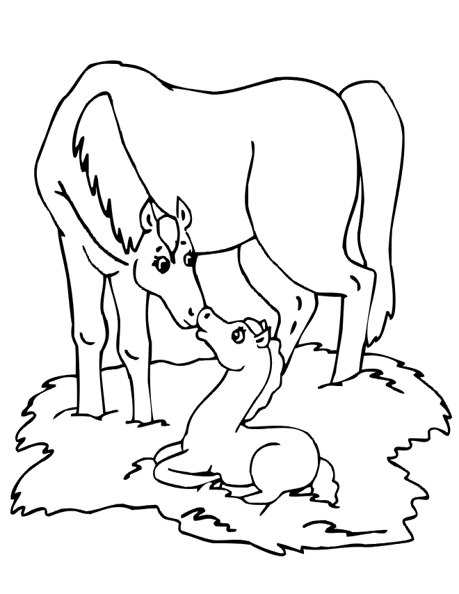 Horse Coloring Book Page | Free Printable Coloring Pages