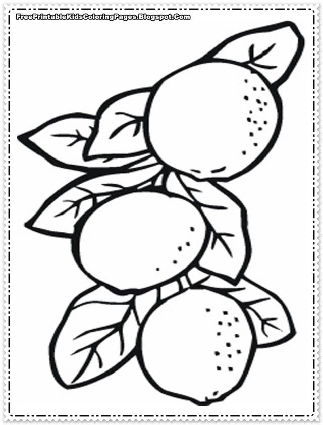 Educational Orange Tree Coloring Pages 