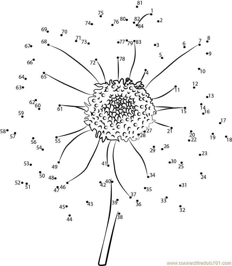 Connect the Dots Sun flower (Flowers  Sunflower) - dot to dots