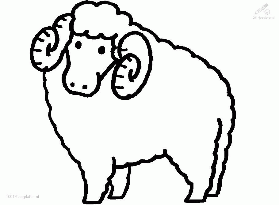 sheep-coloring-pages-702