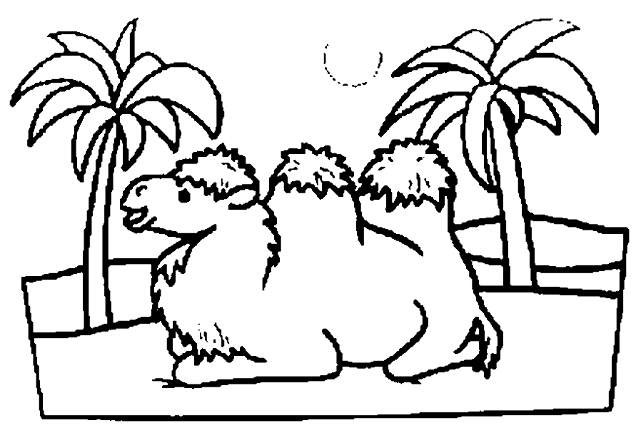 Camel in Desert Coloring Page | Coloring