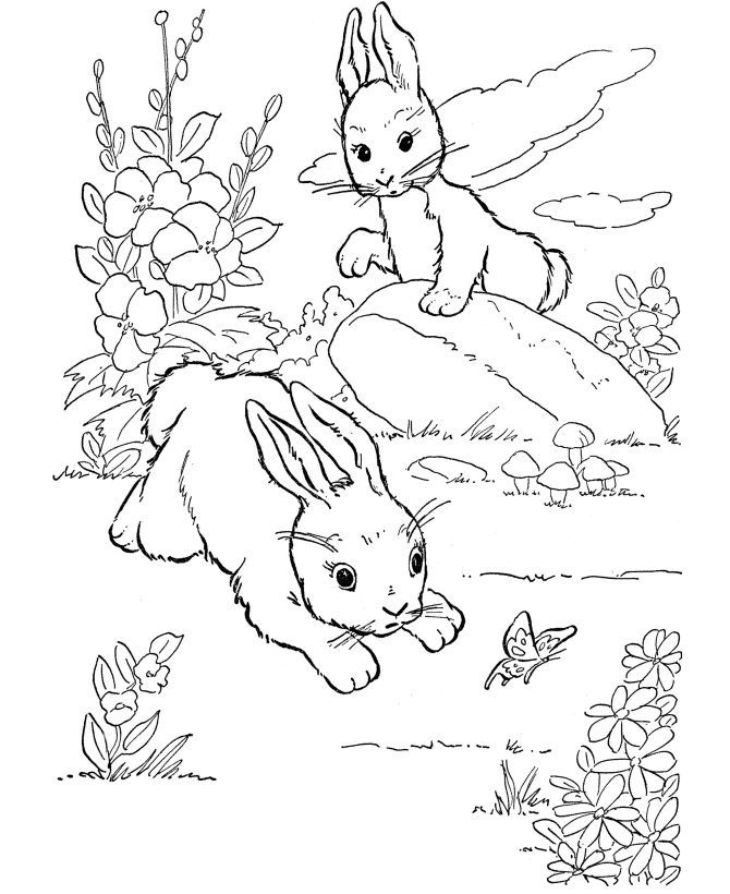 Farm Animal Coloring Pages | Printable Wild rabbits play Coloring