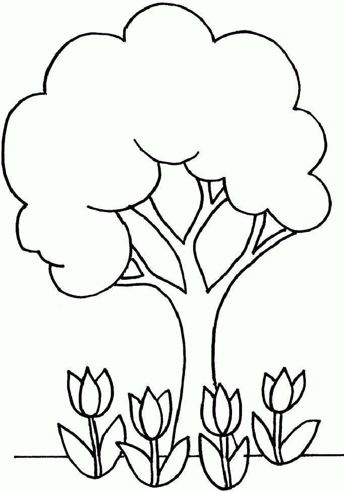 Free Tree Download Free Tree png images Free ClipArts on Clipart Library