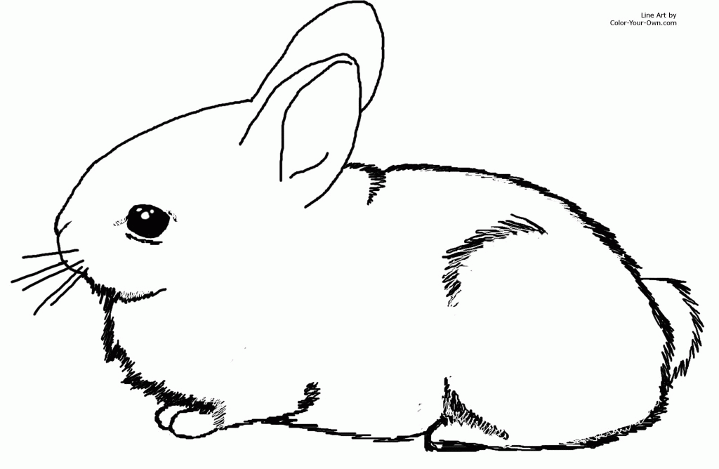Bunny Rabbit Coloring Pages 