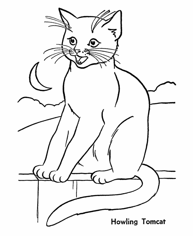 Print And Coloring Page Cat For Kids