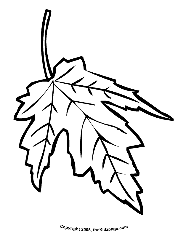 Maple Leaves Coloring Pages | Clipart library - Free Clipart Images