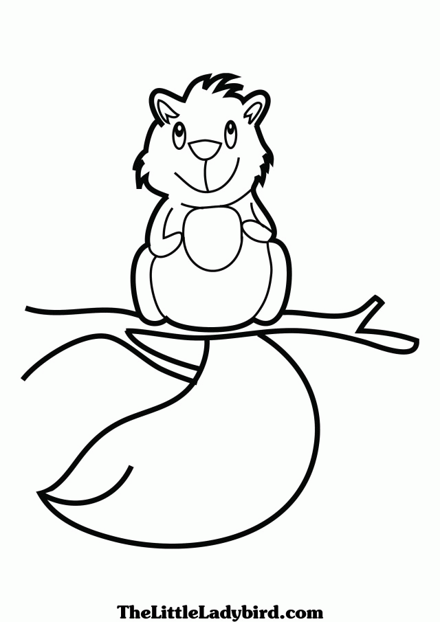 Cute Squirrels Coloring Pages