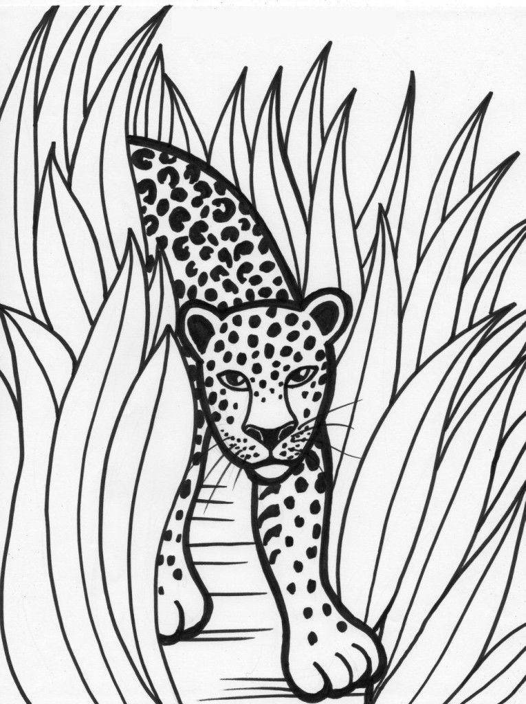 Rainforest| Coloring Pages for Kids - Free Rainforest Printable