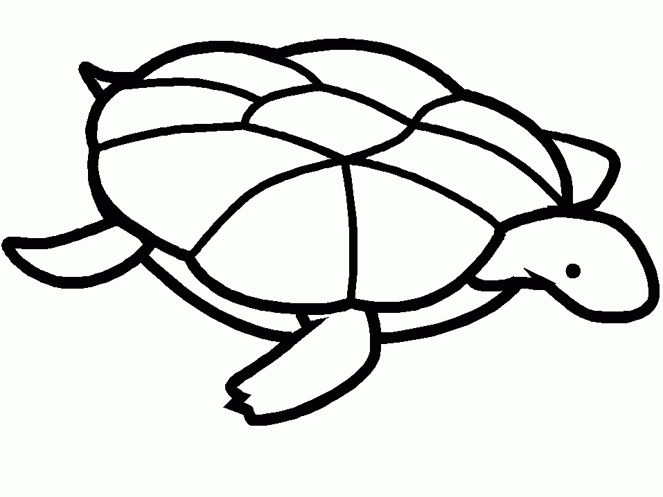 animals that swim coloring pages - Clip Art Library