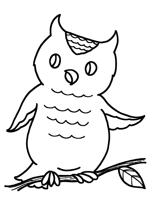Simple Owl Drawing For Kids Images  Pictures 