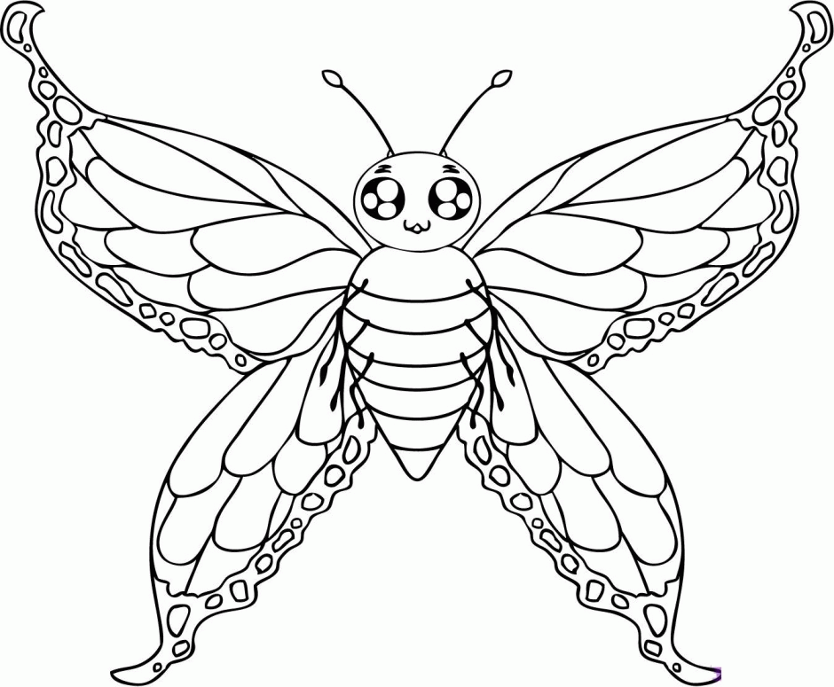 Free Printable Butterfly Coloring Pages