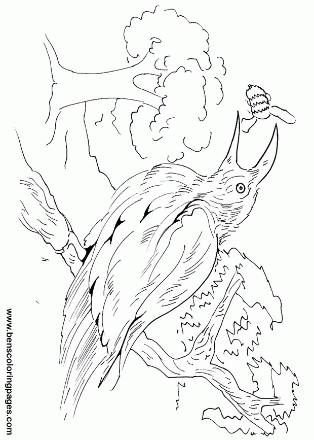eater coloring pages