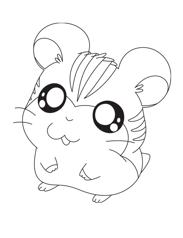 Cute Hamster Colouring Pages Clip Art Library