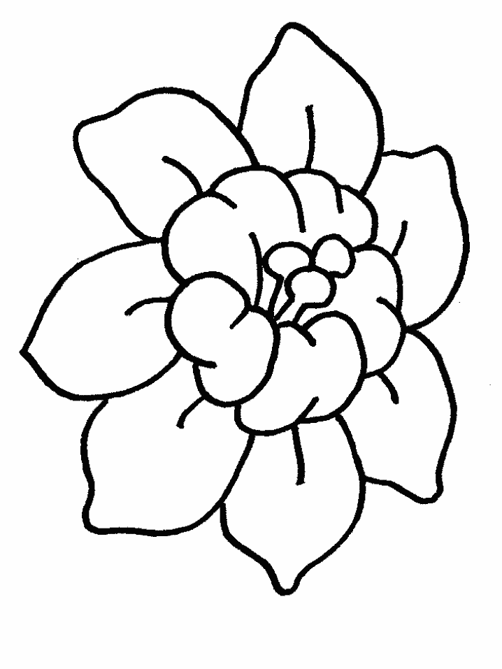 Featured image of post Easy Simple Flower Coloring Pages : Very simple flower coloring page for preschool #26880515.