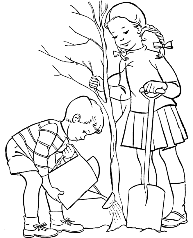 tree plantation pencil drawing - Clip Art Library