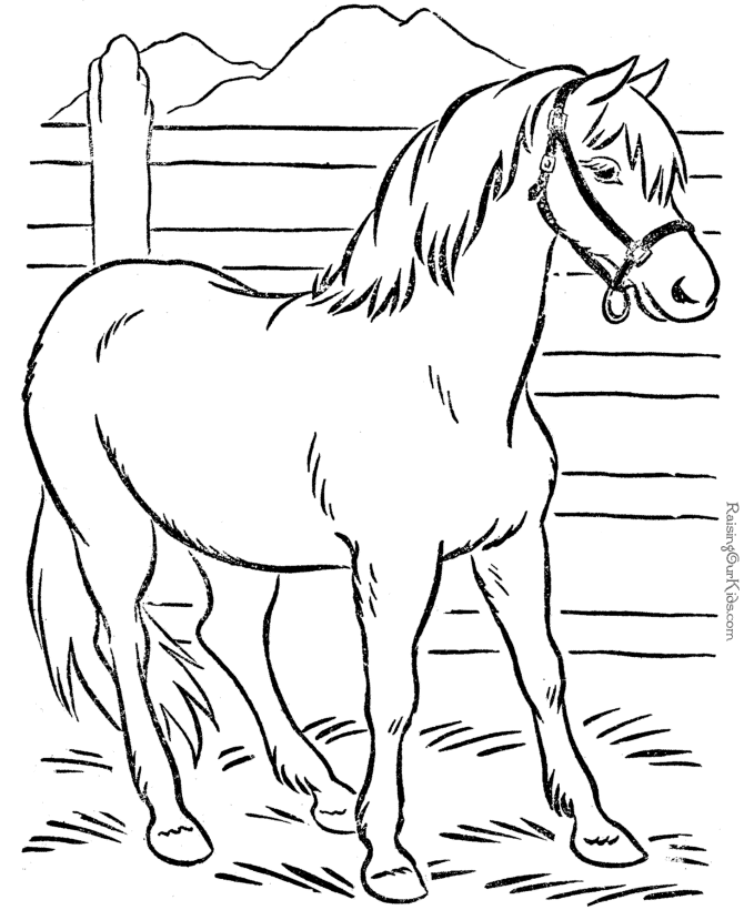 Animal Coloring Pages 