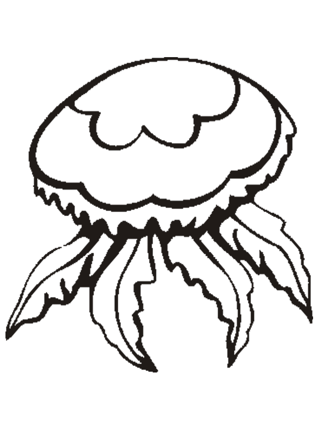 Jellyfish-coloring-pages-4 | Free Coloring Page on Clipart Library