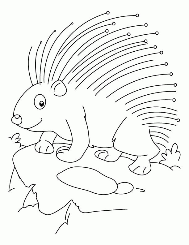 Threatened porcupine coloring pages | Download Free Threatened