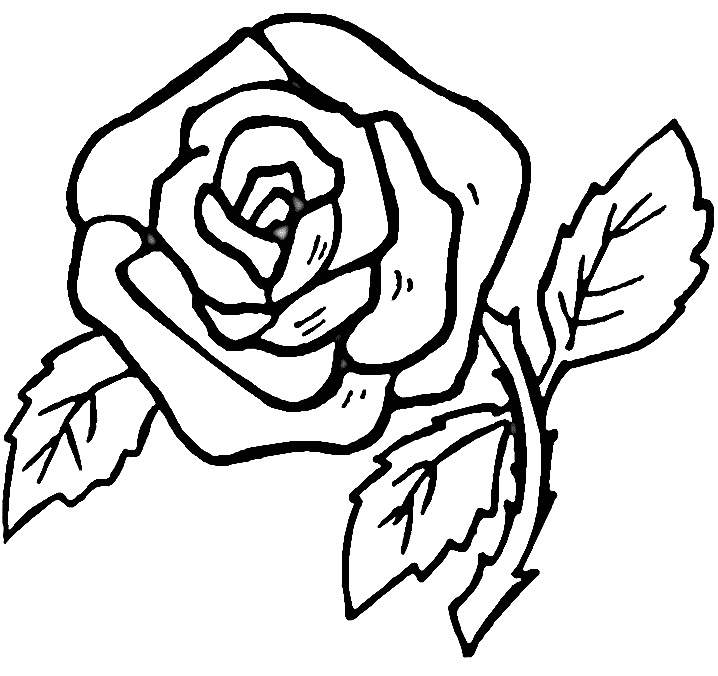 Featured image of post Free Printable Rose Flower Coloring Pages - Roses are the most popular gift flowers around the world.