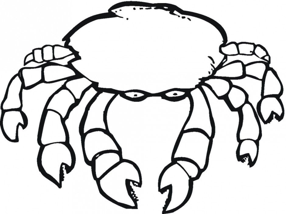 Hermit Crab Coloring Page Coloring Page Hermit Crab