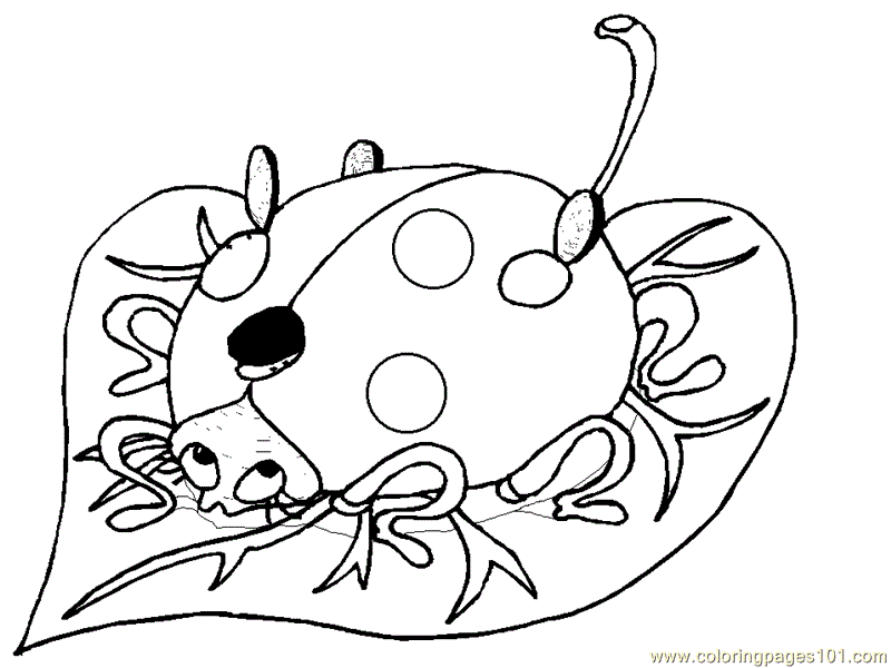 Ladybug | Coloring Pages - Free