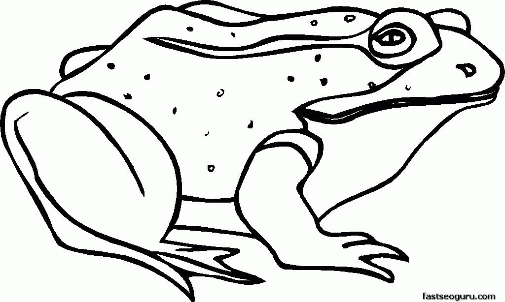 frog-coloring-pages-for-kids