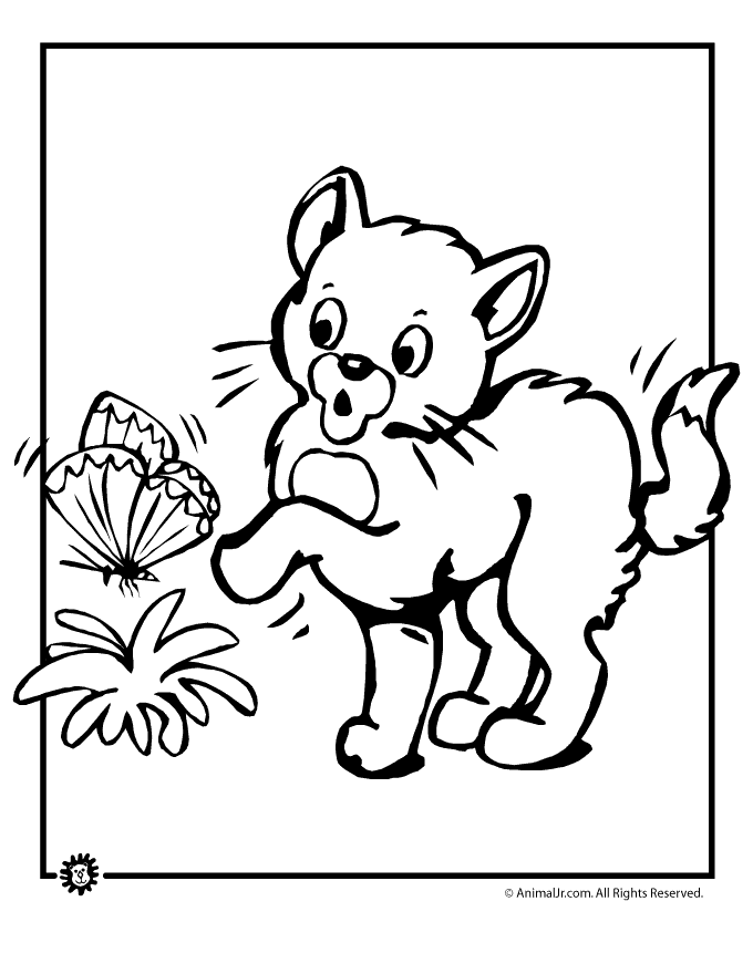 male-kitten-coloring-pages