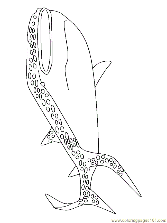 Coloring Pages Sharks (Fish  Shark) - free printable coloring