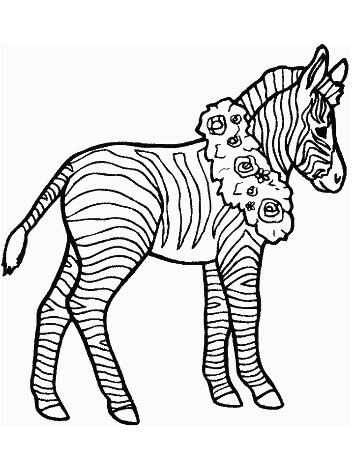 zebra-coloring-pages-printable-7