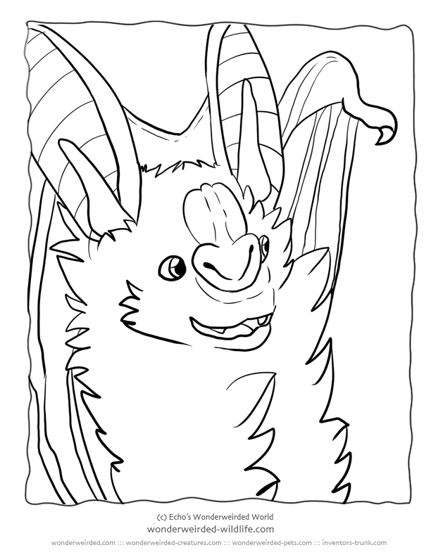 Bat Coloring Pages False Vampire Bat Pictures, Realistic Animal