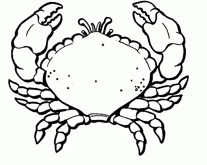 Free Printable Crab 