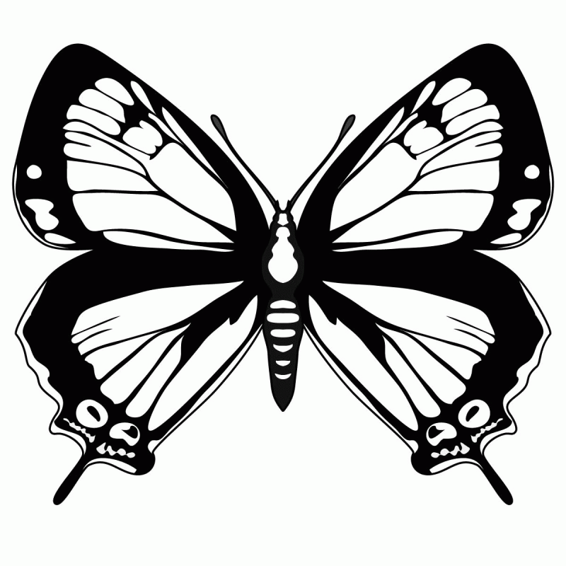 Painted Lady Butterfly Coloring Page